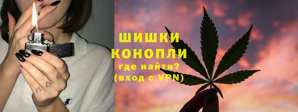 дживик Арсеньев