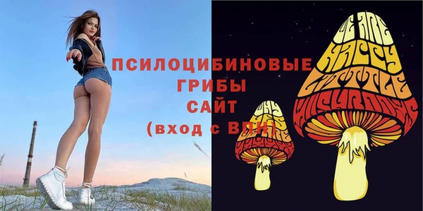 дживик Арсеньев